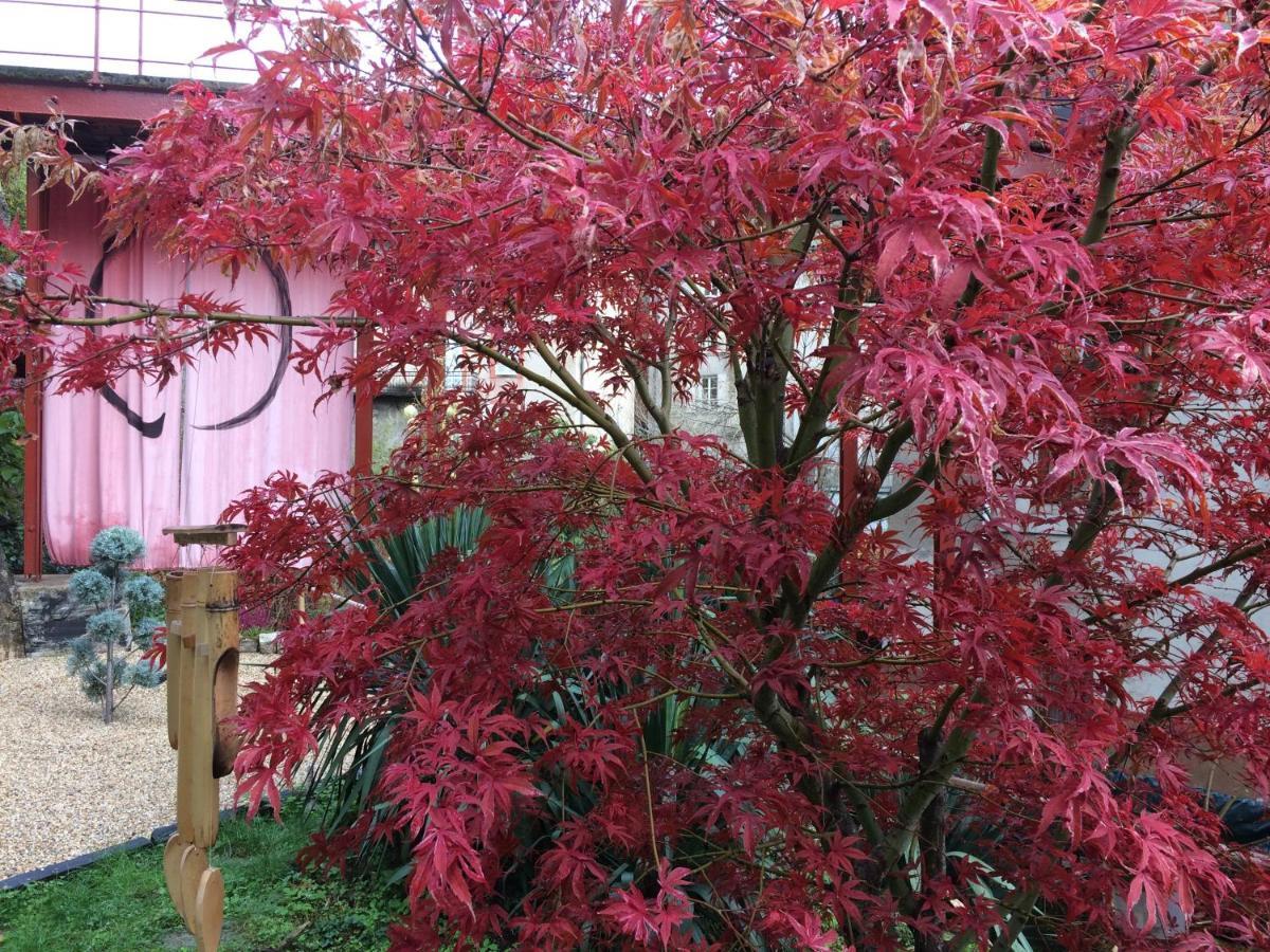 Minshuku Chambres D'Hotes Japonaises Thiers Exterior foto